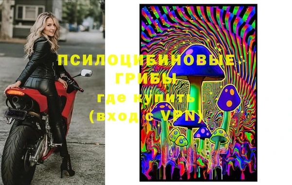 тгк Алексин