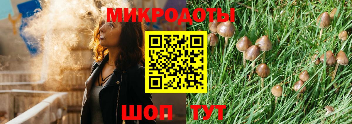 Чебоксары  Галлюциногенные грибы Psilocybine cubensis  Вход с VPN 