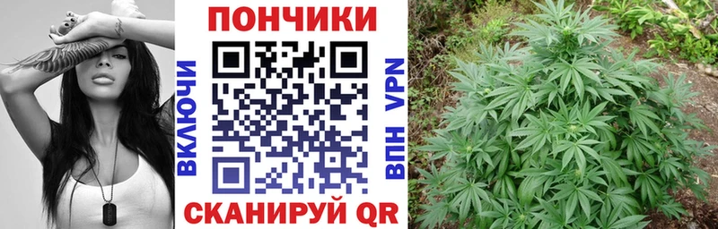 Бошки Шишки планчик  Чебоксары 